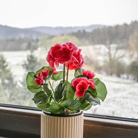 Sekowa Ostoja アパート Leszczyny