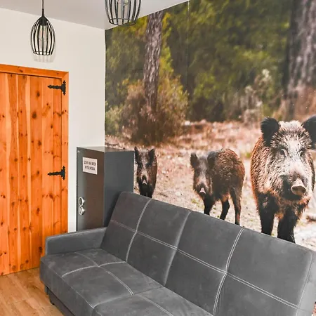 アパート Sekowa Ostoja Leszczyny